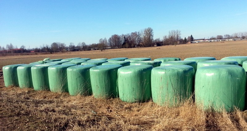ZAAO savāc līdz šim lielāko skābbarības plēvju apjomu