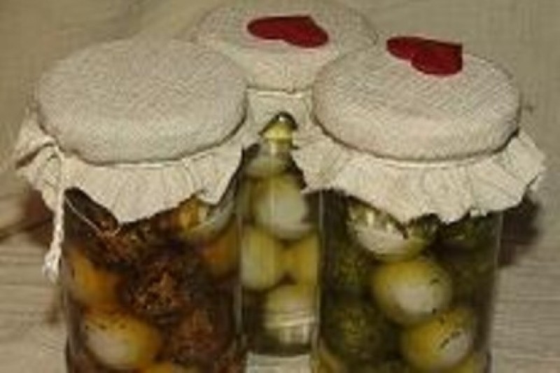 LLKC Cēsu nodaļas seminārs mājražotājiem