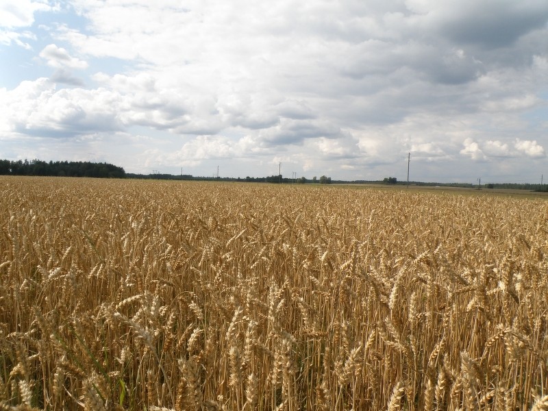 Informācijas diena vēsturiskā Cēsu rajona lauksaimniekiem