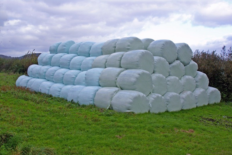 ZAAO savāc ievērojamu apjomu skābbarības plēves