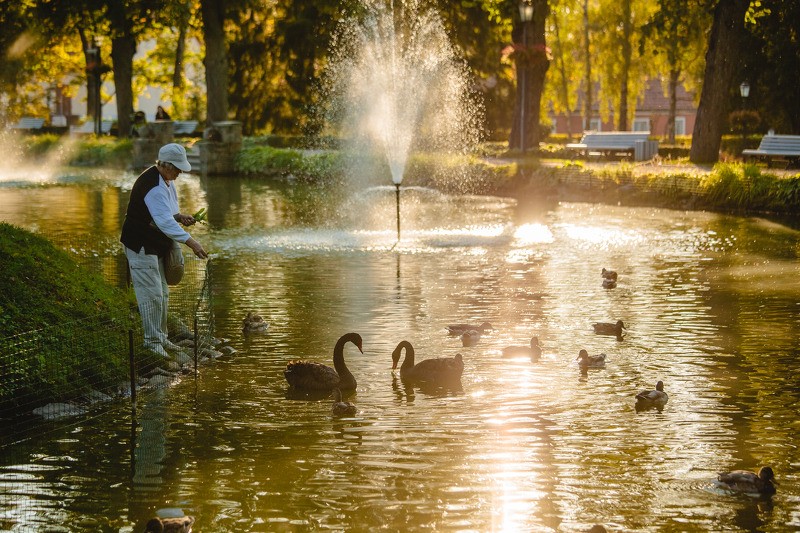 Pilsētas parkos makšķerēt nav ļauts