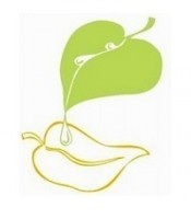 Cilvēki ar garīga rakstura traucējumiem sāk saņemt atbalstu Individuālā budžeta izmēģinājumprojektā