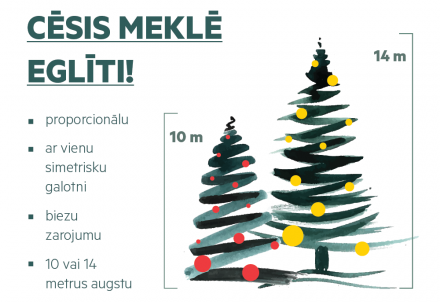 Cēsis meklē eglīti!