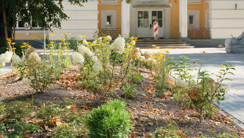 Turpinās Stacijas laukuma pārbūve – izbūvēti gājēju celiņi un apstādījumi