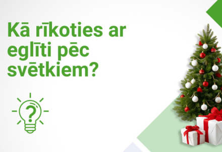 ZAAO arī 2026. gadā nodrošinās Ziemassvētku eglīšu nodošanu bez maksas