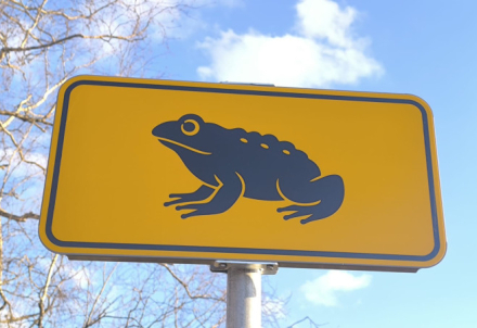 Misija – KRUPIS. Izglāb princi!