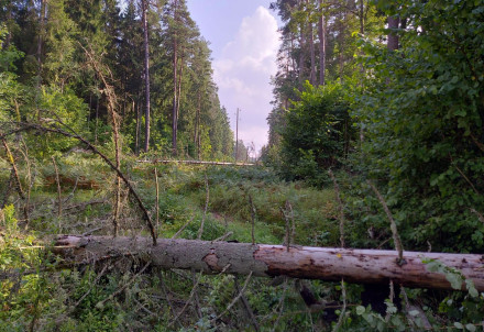 Cēsu novadā vētras radīto bojājumu apsekošanai izmantos dronus
