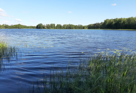 Cēsu novada ezeros pārbaudīta ūdens kvalitāte