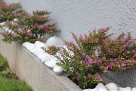 Dzintara iela 12, Cēsis