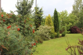 Meža iela 2, Cēsis